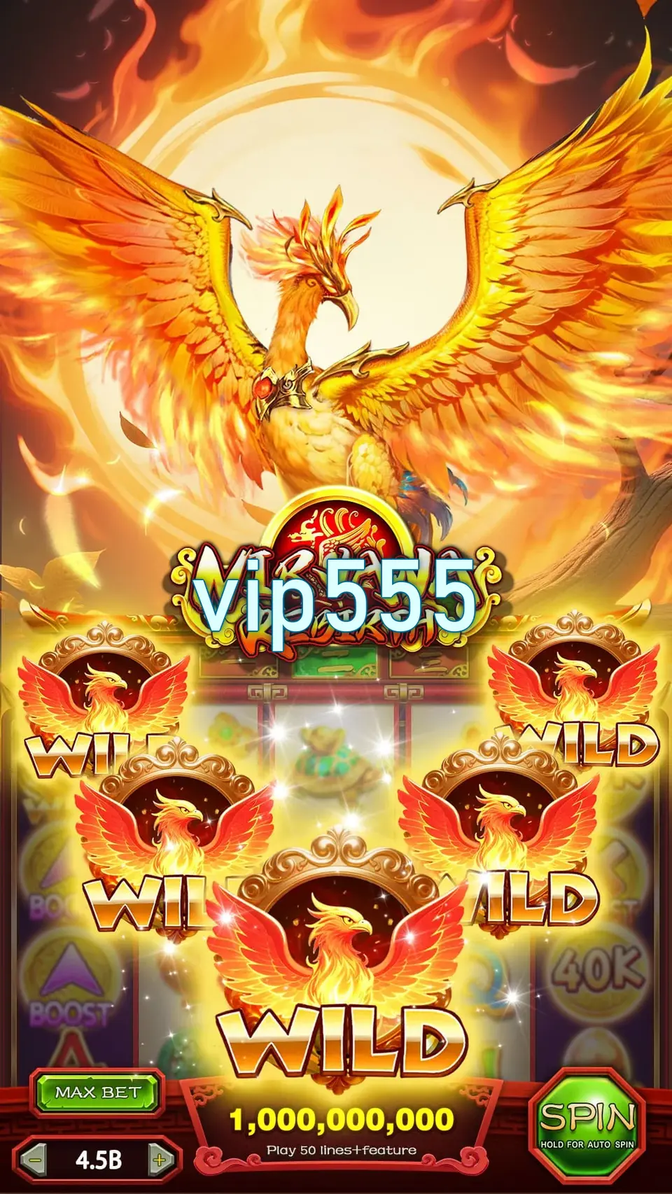 vip555 APK